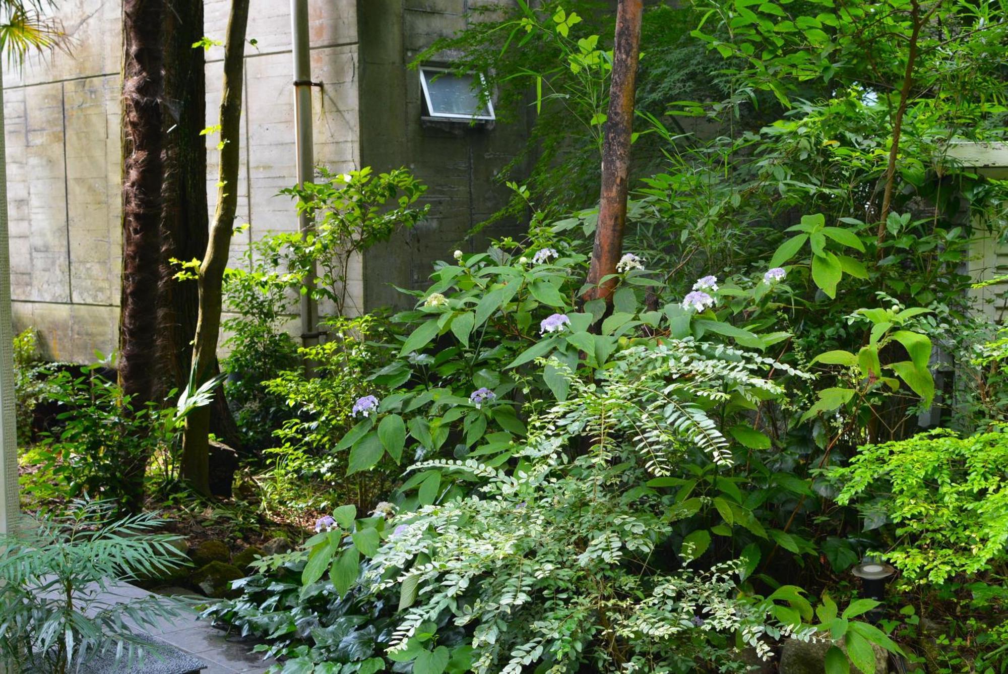 Hotel Hakone Mori No Yado Exteriér fotografie